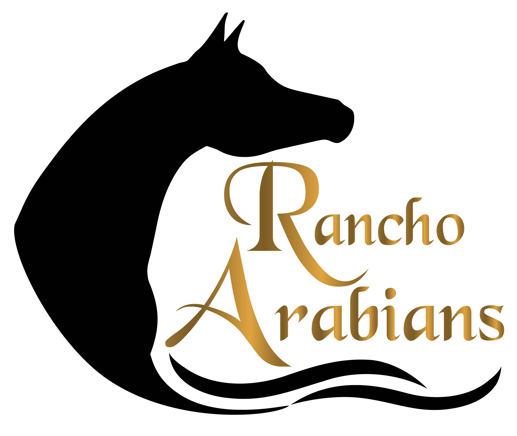 Rancho Arabians Logo