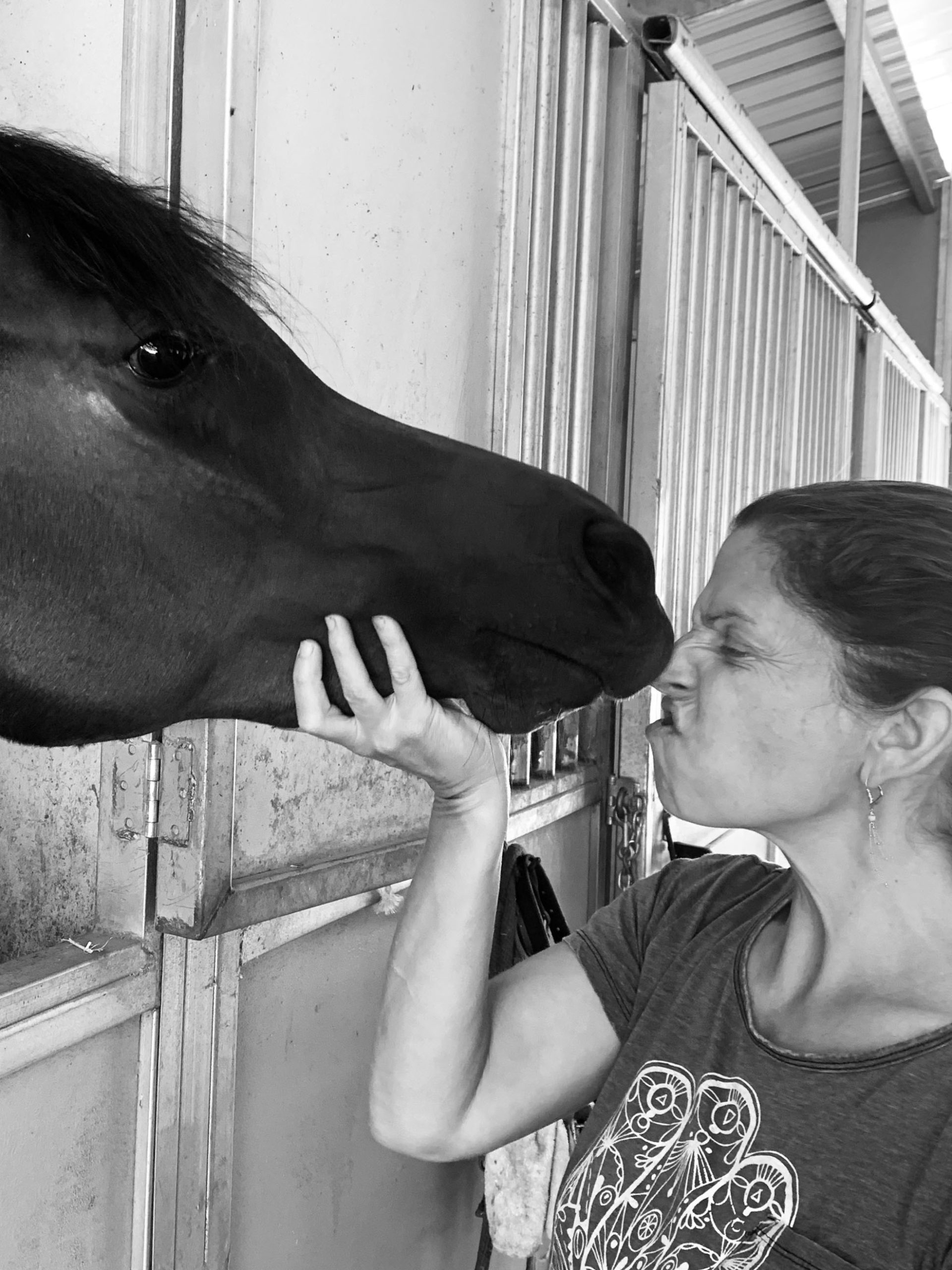 close up of Ofri kissing an arabian horse on the muzzle